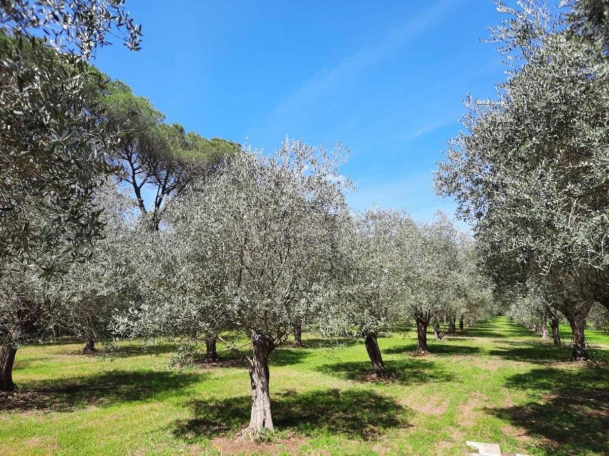 Villa Di Noi Arnesano Extérieur photo