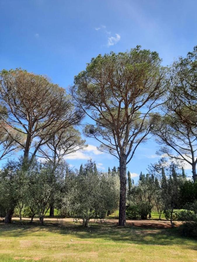 Villa Di Noi Arnesano Extérieur photo